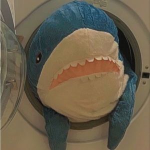 Meet your Posher, Ryden